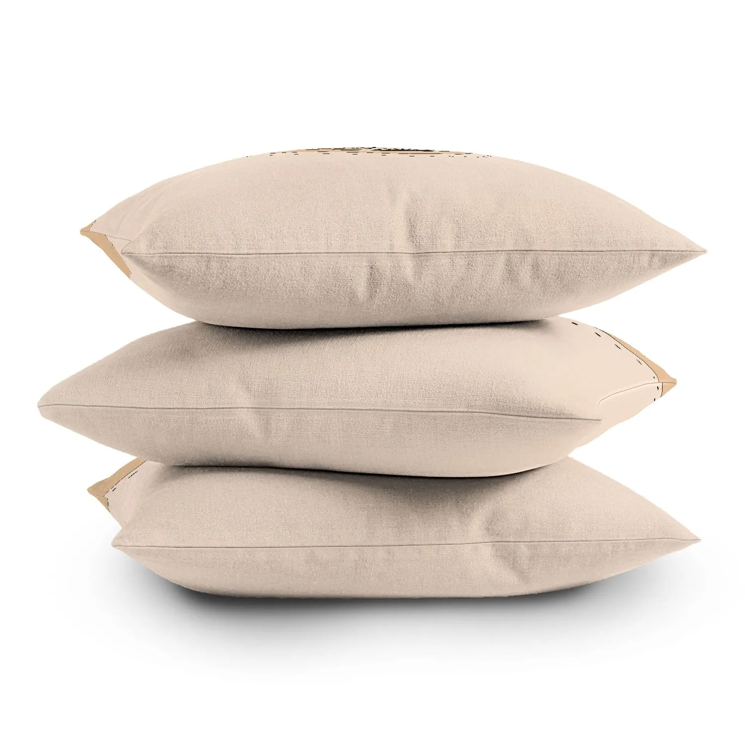 Good Fortune Gal Indoor / Outdoor Throw Pillows (DS)