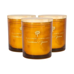 Home Fragrance | Soy Wax Scented Candles 130g Sandalwood & Jasmine Pack of 3 | Nicola Spring