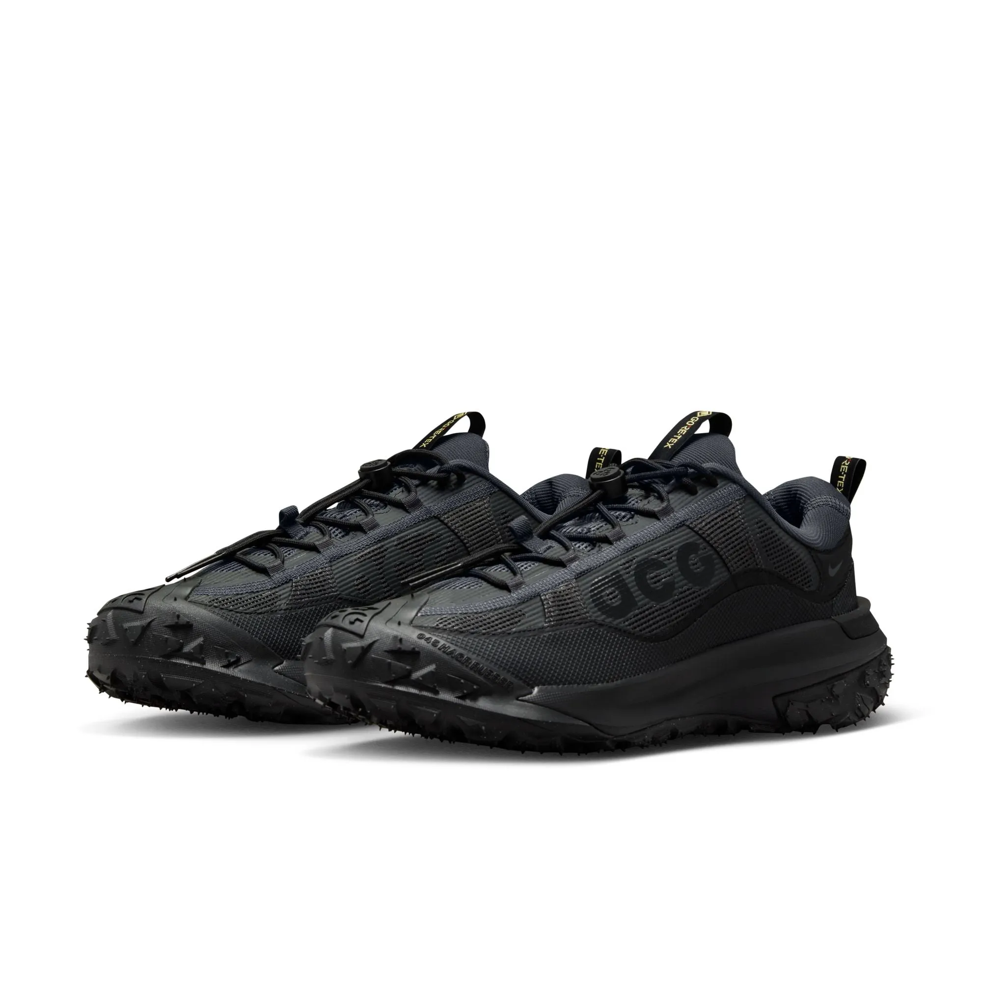 Nike ACG Mountain Fly 2 Low GTX (DK Smoke Grey/Black/Black)